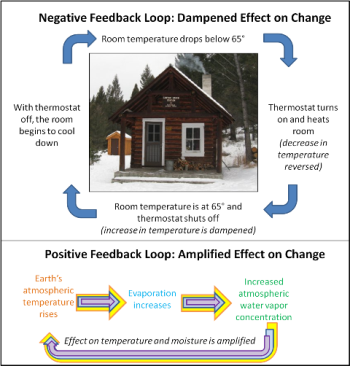 feedback loops negative positive loop ice complex diagram albedo systems change carbon geography examples bruckner monica nagtworkshops interactions