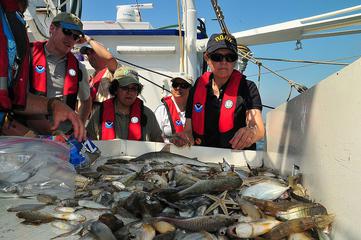A pile of dead fish brought onto a wildlife rescue boat.