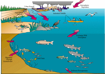 'Sources and Pathways of Pollution'
