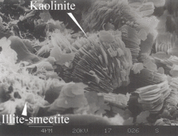 SEM of Kaolinite