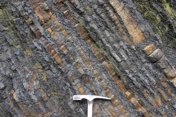 Marli Miller Turbidites