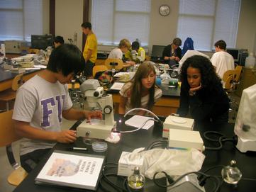 CSSI Neuro students in lab 2010