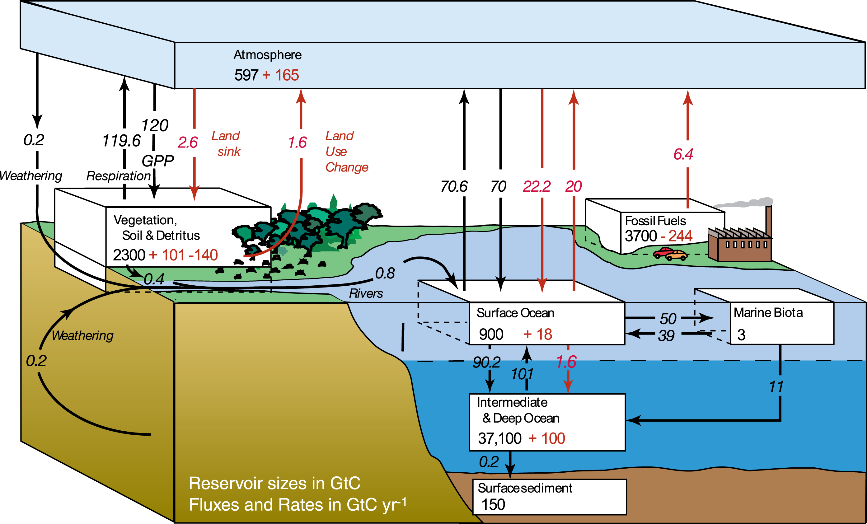 carbon cycle diagram