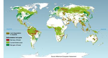 Deforestation Hot Spots