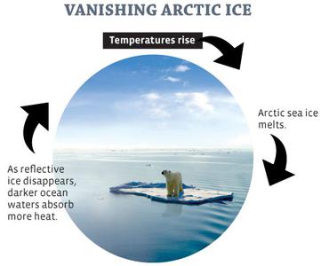 arctic causal loop