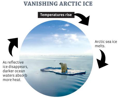 arctic causal loop