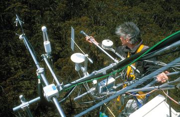 Carbon uptake measurement