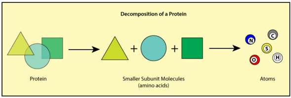 Decomposition of a protein