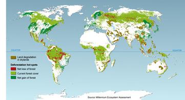 Deforestation hotspots