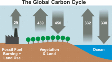 global carbon cycle ipcc
