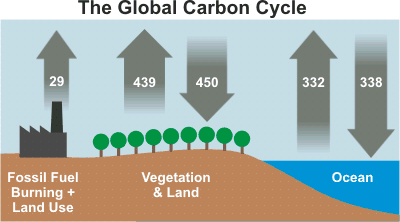global carbon cycle ipcc
