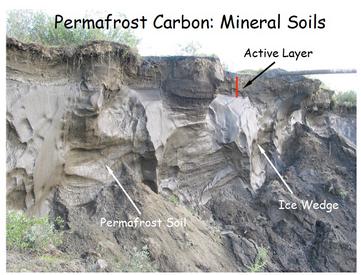 Permafrost Ed Schuur