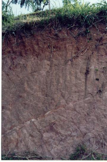 Soil