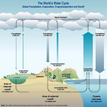 Water Cycle