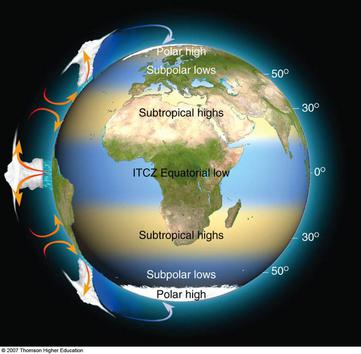 Global precip and hadley cells
