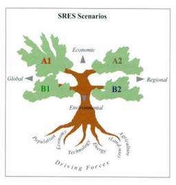 SRES tree graphic