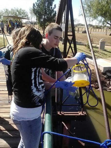 Students analyze water from a local site.