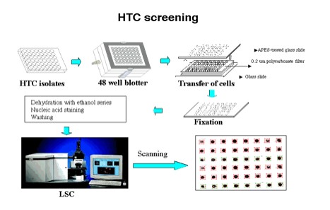 High Throughput Culturing