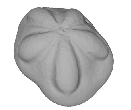 Rendering Image
