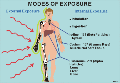 To your does body do what radiation Radiation Therapy