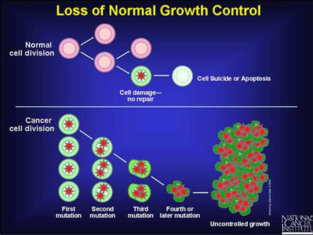 mutations in humans caused by radiation