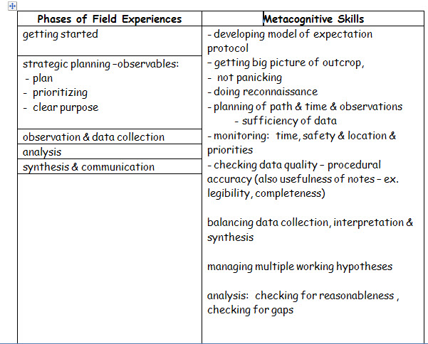 metacognitive skills