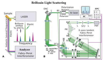 dynamic light scattering methods