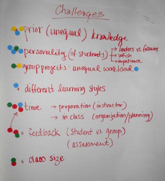 poster 4, collaborative learning session, 2011 MPG workshop