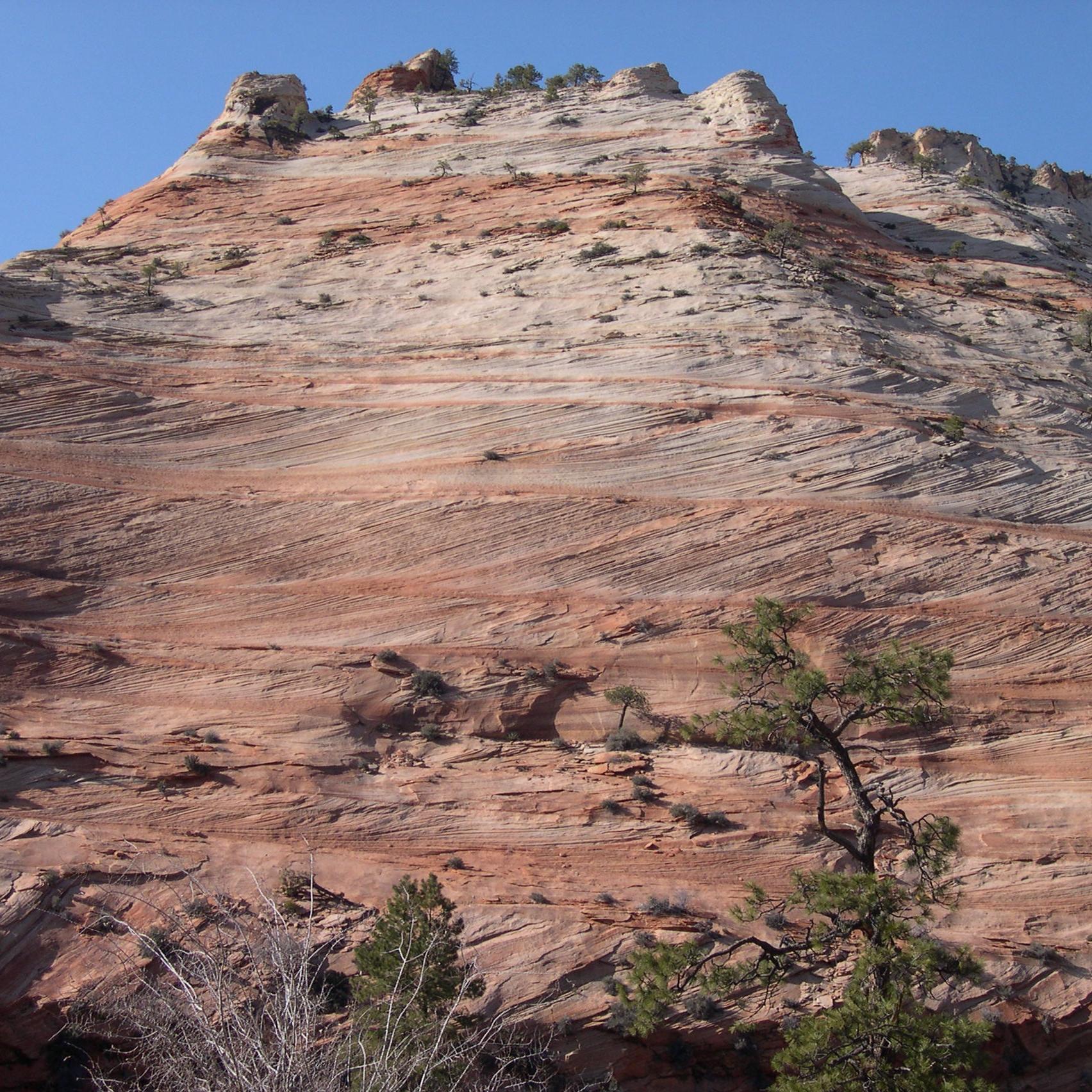 Cross Bedding