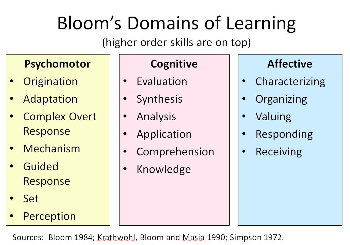 cognitive and affective learning