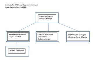 Institute for STEM and Diversity Initiatives Organizational Chart