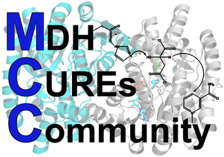 MCC:Malate Dehydrogenase CUREs Community
