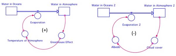 positive negative feedback loops