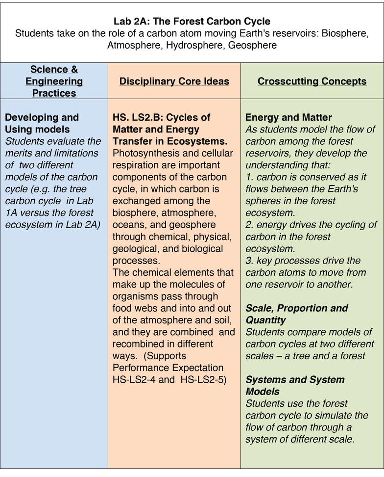 Lab 2 The Global Carbon Cycle