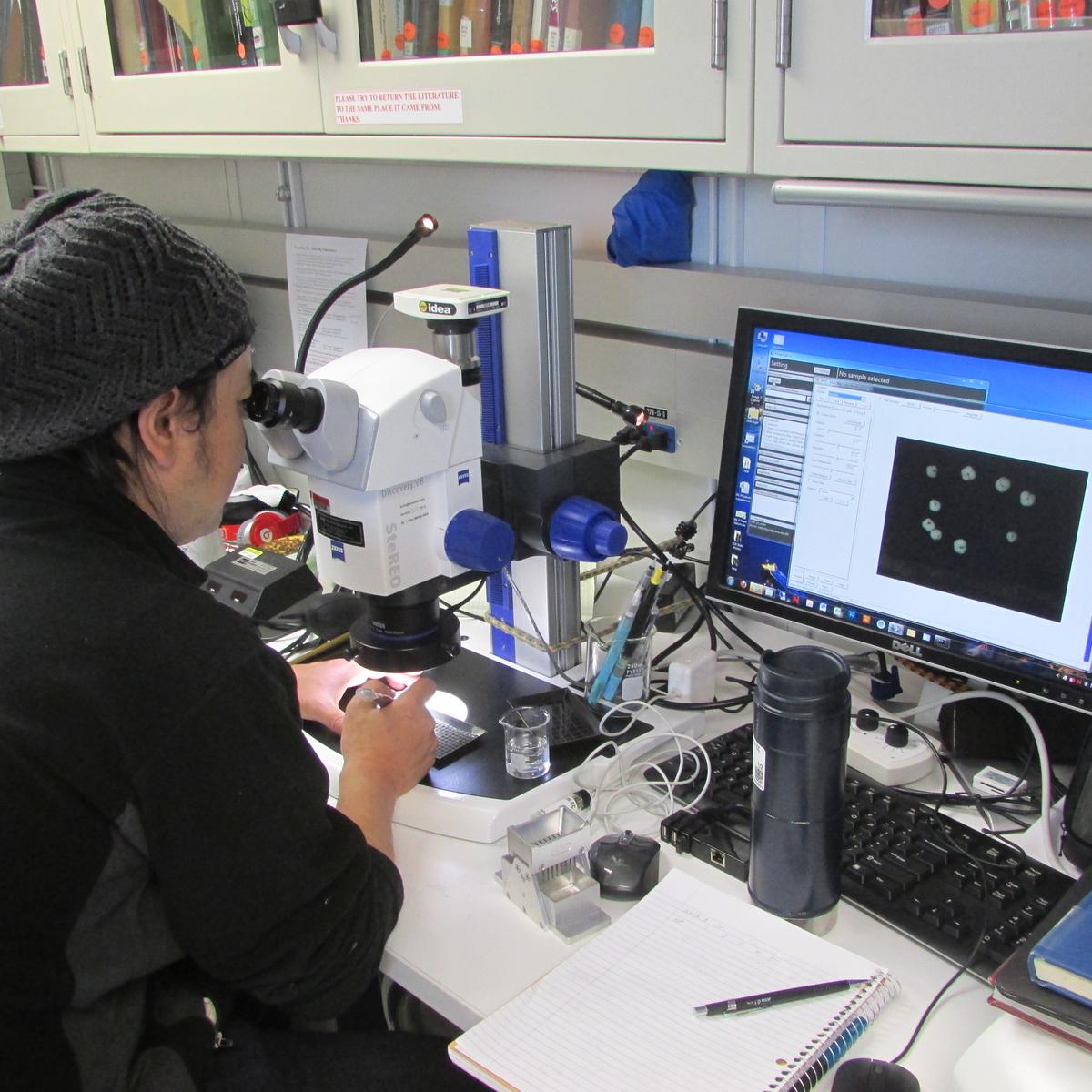Dr. Hiro Asahi examines a smear slide in the micropaleontology lab.