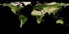 ndvi 5