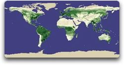 global image of vegetation May 1982