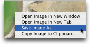 Select Save Image As...