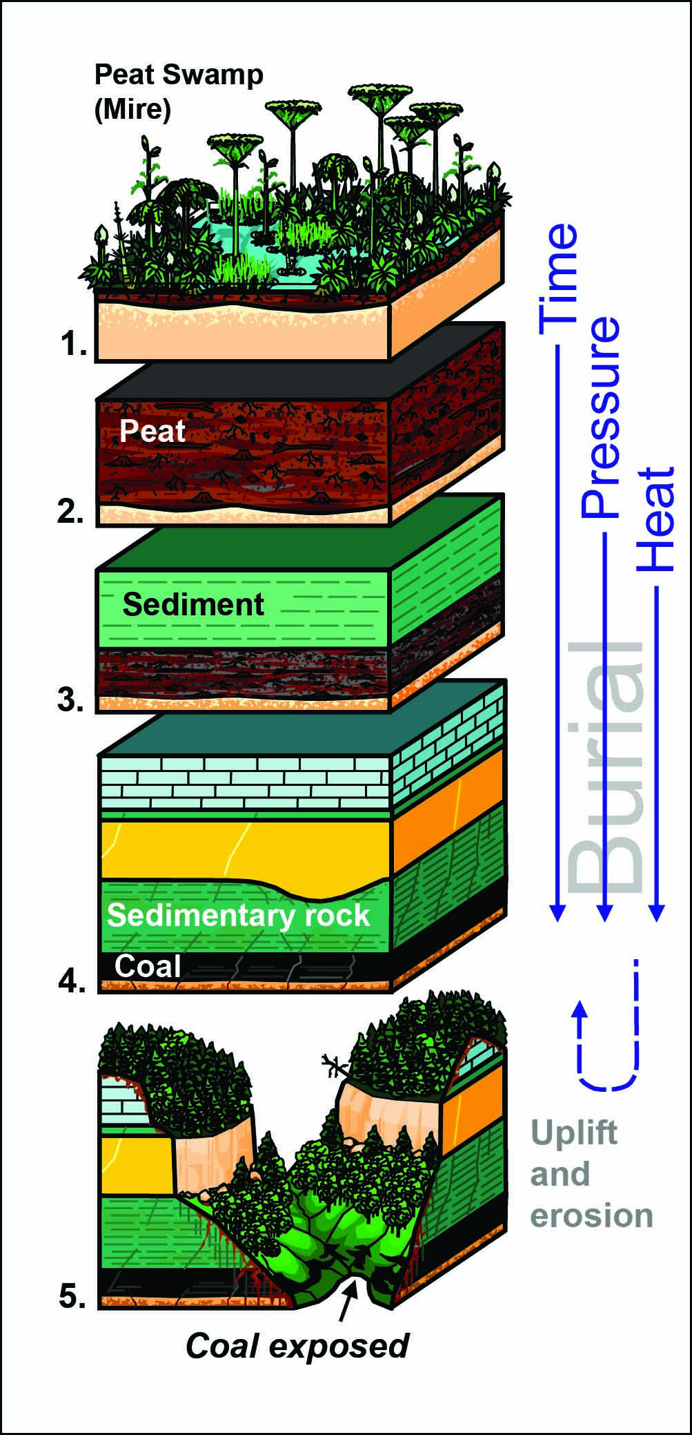  diagram thunderstorm forming diagram full version hd quality forming