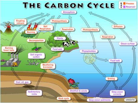 Climate And The Carbon Cycle Unit Overview