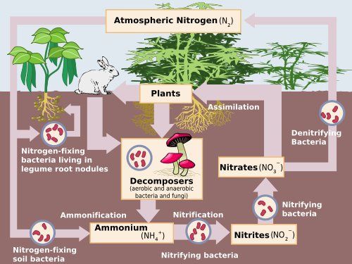 5A: Soil, Carbon and Microbes