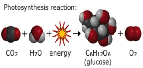 carbon dioxide formula and photosynthesis