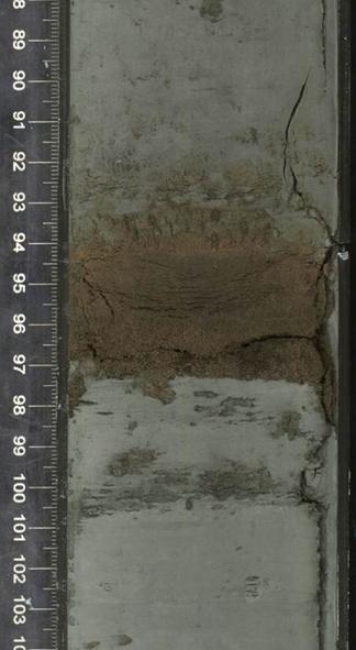 A close up of a core sample.