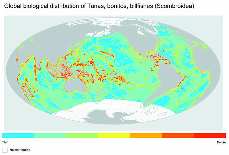Global Global Biological Distribution of Tunas, bonitos, billfishes