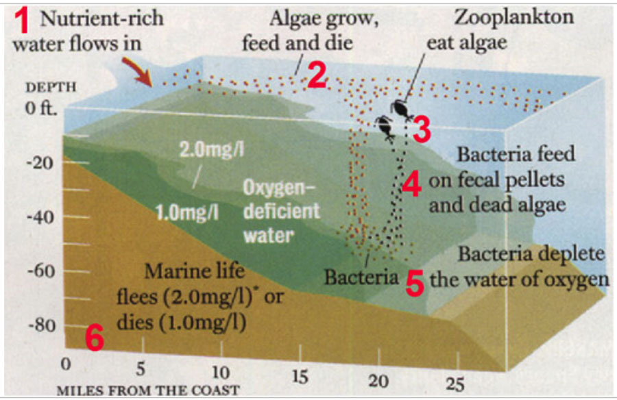 7C Dead Zones and Harmful Algal Blooms (HABs)