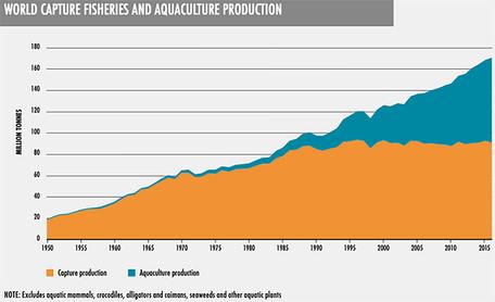 aquaculture graph