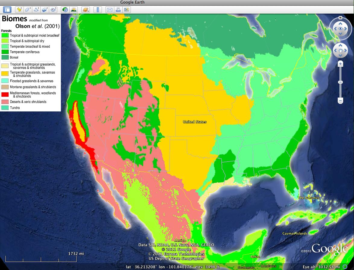 Lab 21: Climate Patterns and Life (Biomes) Throughout World Biome Map Coloring Worksheet