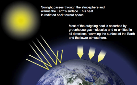 Climate Literacy Quiz