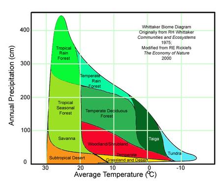 Terrestrial Biomes Chart