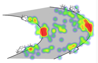 River erosion heat map of student responses